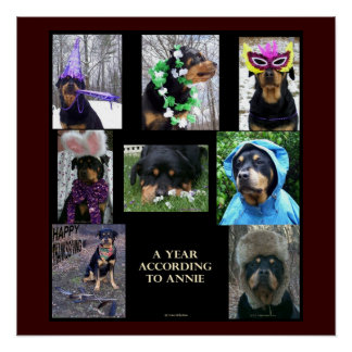 20 x 20" poster "Een jaar volgens Annie" Perfect Poster