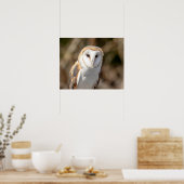20x16 Barn Owl Poster (Keuken)