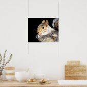 20x16 Eekhoorn die een moer eet Poster (Keuken)