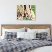 20x16 Fox Kit in de Hudson-vallei Canvas Afdruk (Insitu (Slaapkamer))