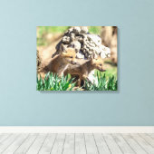 20x16 Fox Kits in de Hudson-vallei Canvas Afdruk (Insitu (Houten vloer))