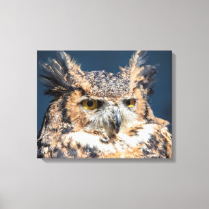 20x16 Great Horned Owl Portret Canvas Afdruk