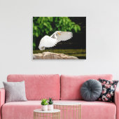 20x16 Grote Egret Canvas Afdruk (Insitu (Woonkamer))