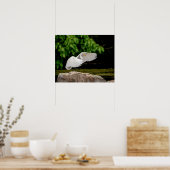 20x16 Grote Egret Poster (Keuken)