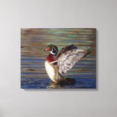 20x16 Hout Duck Canvas Afdruk (Voorkant)