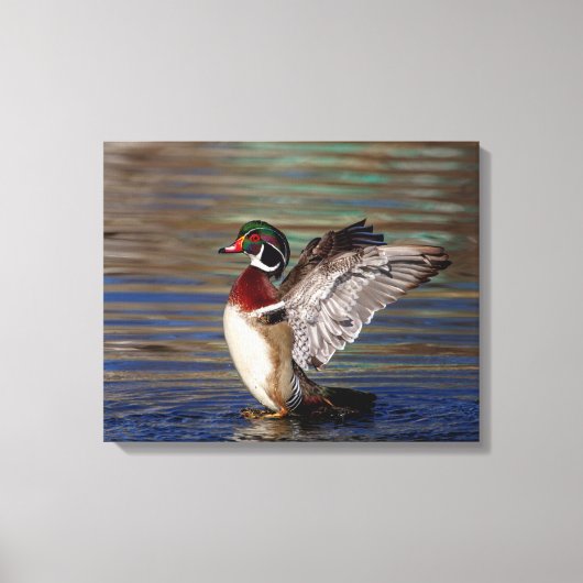 20x16 Hout Duck Canvas Afdruk (Voorkant)