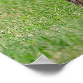 20x16 Konijn in het gras en schuw Poster (Hoek)