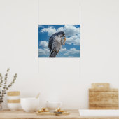 20x16 Peregrine Falcon langs de Hudson rivier Poster (Keuken)