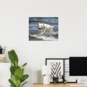 20x16 Witte Duitse Shepard op het meer van George Poster (Thuiskantoor)