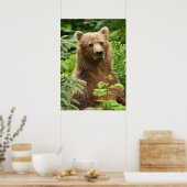 20x28 Poster (Matte) met grizzly beer (Keuken)