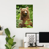 20x28 Poster (Matte) met grizzly beer (Thuiskantoor)