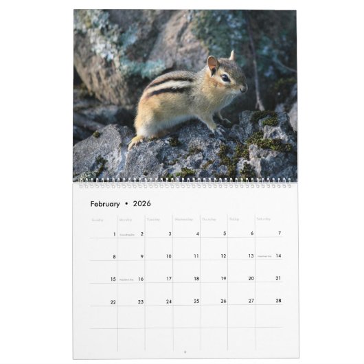20XX mignon Chipmunk calendrier animal 2025 (Feb 2026)