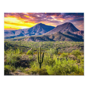 2124-2-Arizona Woestijn bij zonsondergang met Cact Foto Afdruk