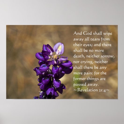 21:4 Witte letters Poster (Voorkant)