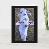 "21 IS IETS OM OVER TE KLAGEN" KAART (Voorkant)