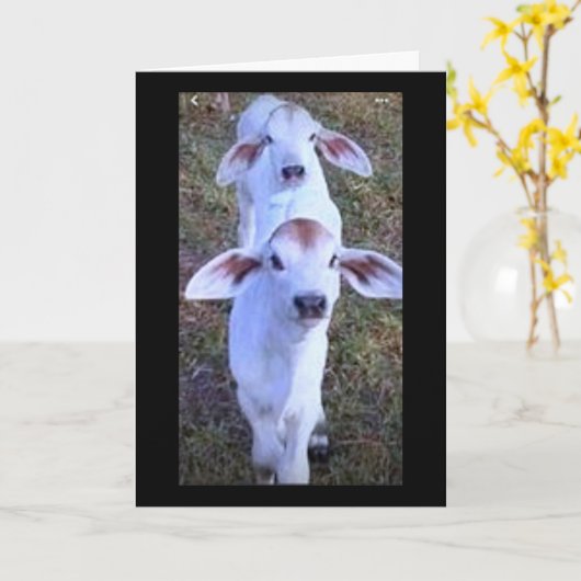 "21 IS IETS OM OVER TE KLAGEN" KAART (Gele Bloem)