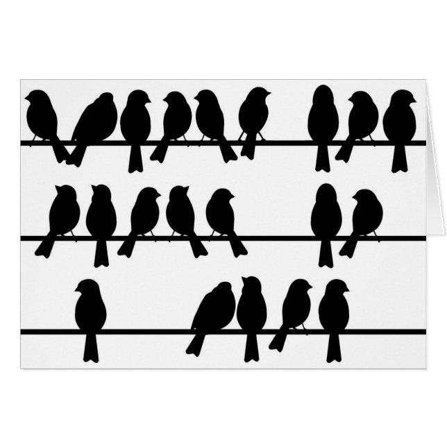 21 oiseaux sur un fil (Devant horizontal)
