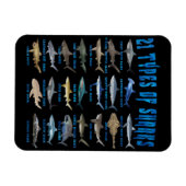 21 soorten haaiensoorten magneet (Horizontaal)