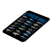 21 soorten haaiensoorten magneet (Linkerzijde)