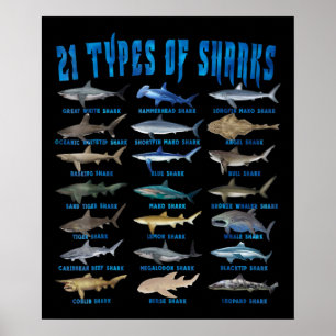 21 soorten haaiensoorten poster