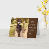 **21e TWEEDE MAAND** HET "EIND VAN UW JEUGD" Kaart (Gele Bloem)