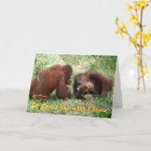 21e verjaardag geen valse ID Kaart (Gele Bloem)