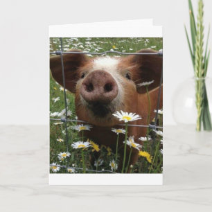 "21ste BIRTHDAY" IS NIET NOSY-HOW. Kaart