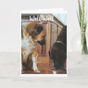 *21ste VERJAARDAG* HUMOR VAN DE HONDEN! Kaart
