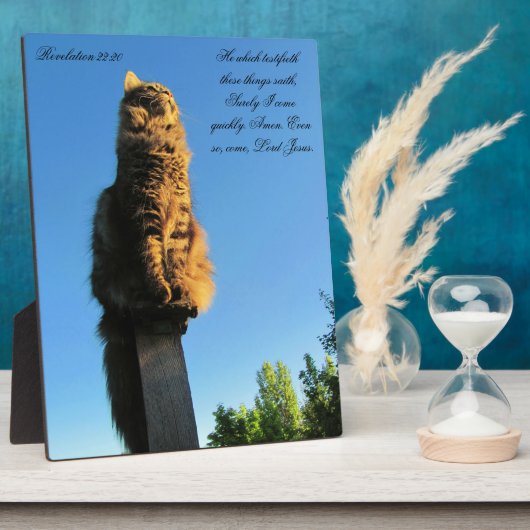 22:20 kat wacht op Jezus Fotoplaat (Zijkant)