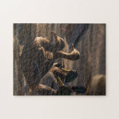 2318-Female Mallard Ducks in Pond Puzzle (Horizontal)