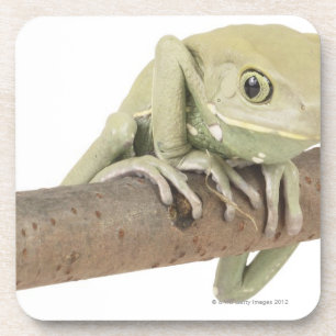 23568119 ONDERZETTER