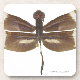 23599152 ONDERZETTER