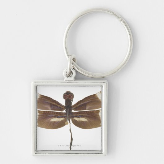 23599152 SLEUTELHANGER (Voorkant)