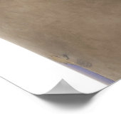 23650509 POSTER (Hoek)