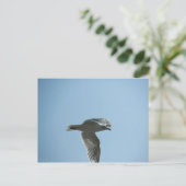 2367 BRIEFKAART (Staand voorkant)