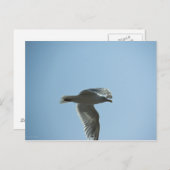 2367 BRIEFKAART (Voorkant / Achterkant)