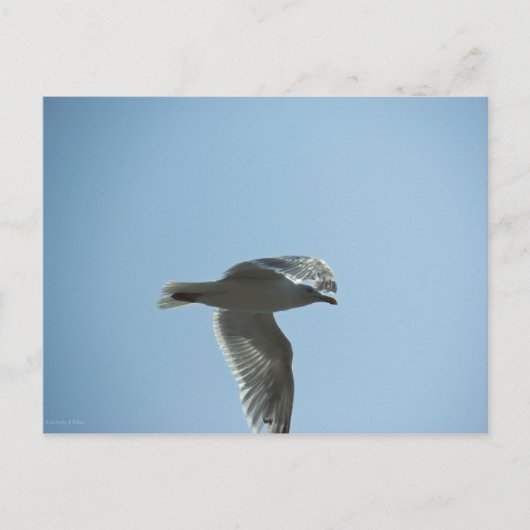 2367 BRIEFKAART (Voorkant)