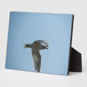 2367 FOTOPLAAT (Zijkant)