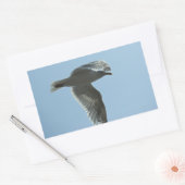 2367 RECHTHOEKIGE STICKER (Envelop)