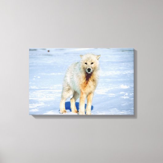 23872553 CANVAS AFDRUK (Voorkant)