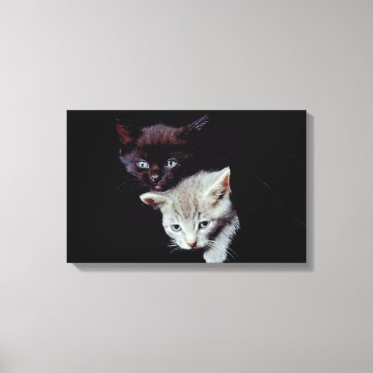 23893007 CANVAS AFDRUK (Voorkant)