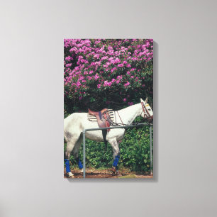 23893981 CANVAS AFDRUK