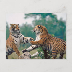 23899157 BRIEFKAART