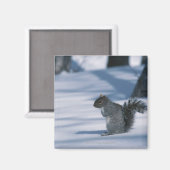 23936348 MAGNEET (Voorkant / Achterkant)