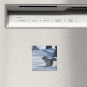 23936348 MAGNEET (Insitu (Vaatwasser))