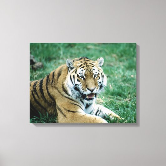 24103189 CANVAS AFDRUK (Voorkant)