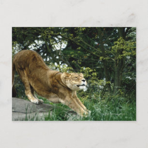 24114343 BRIEFKAART