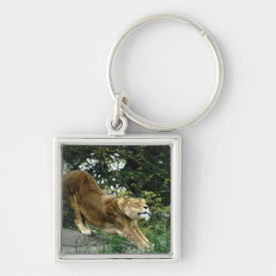 24114343 SLEUTELHANGER