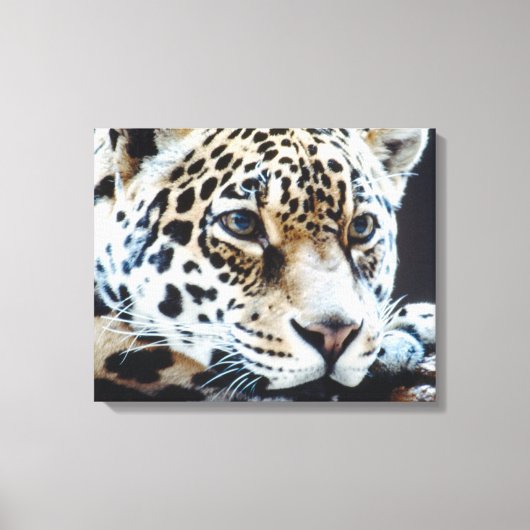 24114363 CANVAS AFDRUK (Voorkant)
