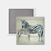 24114480 MAGNEET (Voorkant / Achterkant)